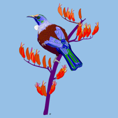 NZ Tui Design