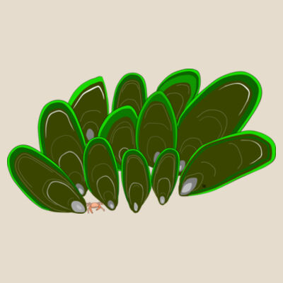 Mussel Gang Design