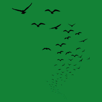 Seagulls heading home Design